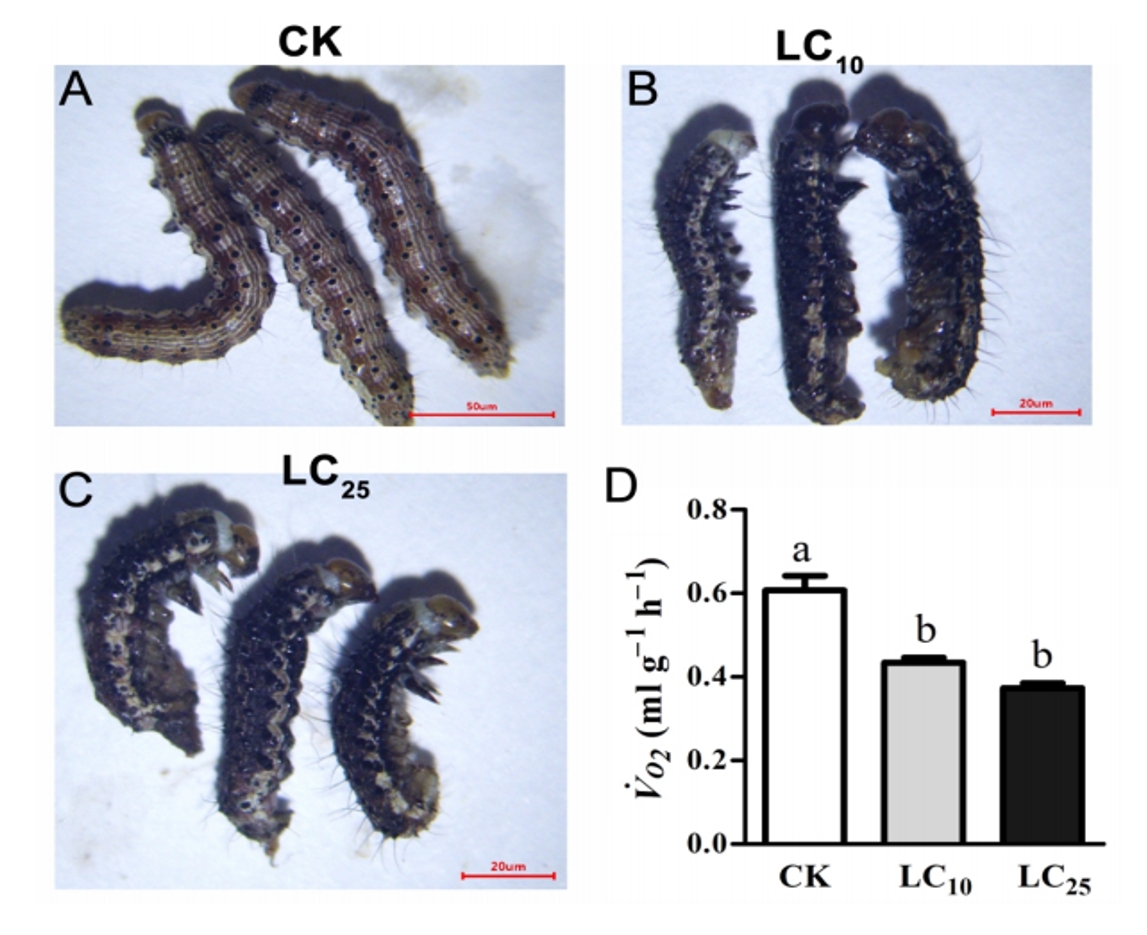 微信截圖_20230904171327.png 微信截圖_20230904171327.png