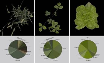 Macintosh HD:Users:changqingyu:Desktop:color-1.jpg